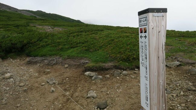 【クマ出没】下山中に体長約1.5ｍのクマと遭遇「立ち往生している」とSOS　登山者の男女4人が警察ヘリに救助され無事　北海道トムラウシ山|TBS NEWS DIG