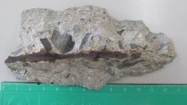 岡山市の小学校でコンクリート片が落下　けが人なし|TBS NEWS DIG