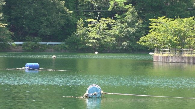 「水面にうつぶせで人が浮いている」湖で夜釣り　転落した男性が死亡　ブラックバスなど釣りの人気スポット　山梨・千代田湖|TBS NEWS DIG
