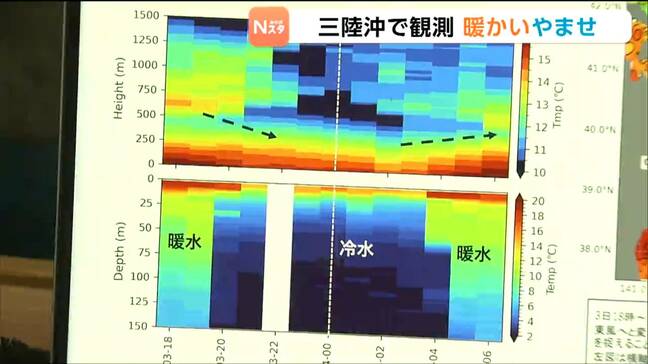 「暖かいやませになっている」かつて冷害もたらした北東の風は今「暑さをやわらげるぐらい」の存在に 観測で見えた海の変化|TBS NEWS DIG