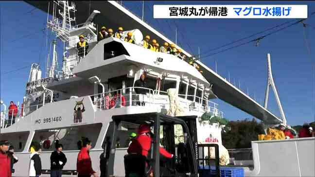 「現場でしか見られないこと見られた」高校生がとったビンナガマグロ0.6t水揚げ 実習船宮城丸帰港 宮城・気仙沼港|TBS NEWS DIG