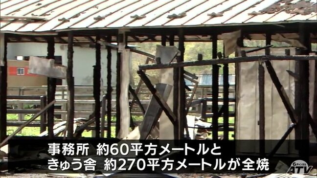 中央競馬の重賞（Ｇ１）「天皇賞・春」出走のハヤテノフクノスケ生産牧場の厩舎が全焼　青森県階上町|TBS NEWS DIG