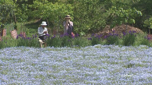 二十四節気「立夏」各地でお出かけ日和に　夜遅くから天気はゆっくりと下り坂|TBS NEWS DIG