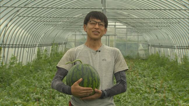 元バンドマンがスイカ栽培に情熱　サポート制度で新規就農|TBS NEWS DIG