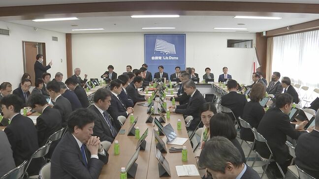 「物価高対策にならない」 自民党会合で消費税減税に「慎重論」相次ぐ|TBS NEWS DIG
