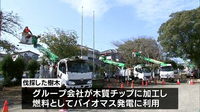 電柱などで高所作業を行う工事関係者がボランティア　宮崎市の小学校で樹木の伐採作業|TBS NEWS DIG