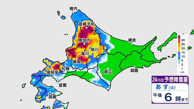 30日夕方までの24時間で30センチ前後の大雪見込み　北海道上川・空知・後志地方、留萌や石狩北部は猛吹雪のおそれも|TBS NEWS DIG