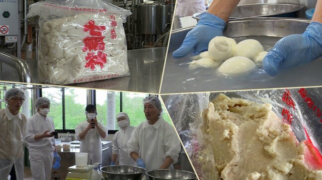 岩手県地域チーズ協議会の設立の目玉 岩手の酒かすを使ったオリジナルチーズの試作会 盛岡市|TBS NEWS DIG