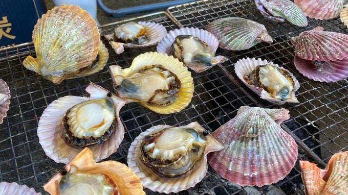 ブリのつかみ取りに歓声 大分県佐伯市でおさかなまつり | 大分のニュース|OBS NEWS|大分放送
