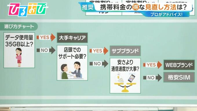 大手3社携帯料金“値上げ”へ「あなたは何ギガ使ってる？」料金プランの見直し方法をプロが解説【ひるおび】|TBS NEWS DIG