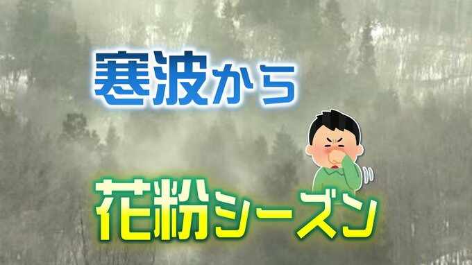 【花粉情報】関東は飛散量が2日「非常に多い」と予想…週末にかけて近畿・九州などで飛散量「多い」状態に|TBS NEWS DIG