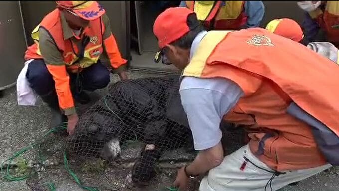 「きのうも熊が出た」クマの大量出没を懸念 住民参加型の訓練 石川・羽咋市　|　石川県のニュース｜MRO北陸放送
