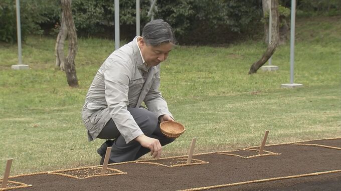 天皇陛下が皇居で「お手まき」　昭和天皇の時代から続く稲作行事始まる|TBS NEWS DIG