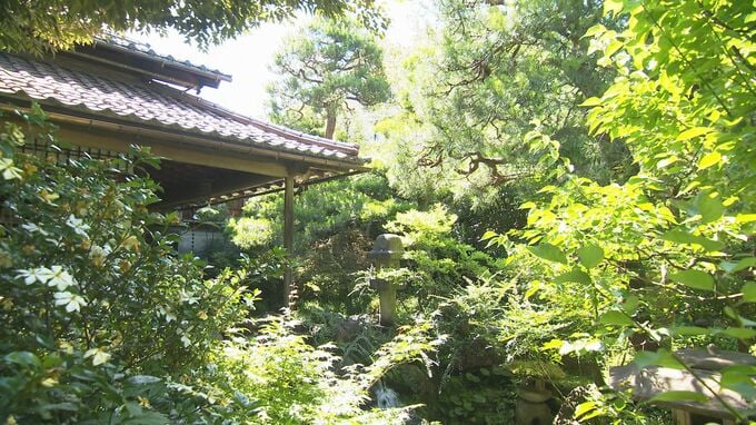 金沢の観光名所・旧浅田家庭園(武家屋敷跡野村家)が国の文化財に登録|TBS NEWS DIG