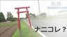 道路沿い謎の「小さな鳥居」いったいコレは？何のために？調べてみたら深ーいワケが・・・　|　宮城のニュース│tbc NEWS│tbc東北放送