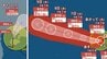 【ダブル台風情報】最大瞬間風速80m/s・中心気圧905 hPa予想「猛烈な勢力」へ「台風9号（バービー）」日本への影響、進路は？「台風10号（メイサーク）」7月14日（火）までの雨・風シミュレーションで確認　今後の気象情報に注意【気象庁4日午前7時5分発表】　|　岡山・香川のニュース | 天気 | RSK山陽放送