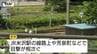 米沢市できのうからクマの目撃相次ぐ　市街地の線路上や高校の近くでも…警察などで警戒続く（山形）　|　山形のニュース│TUYテレビユー山形