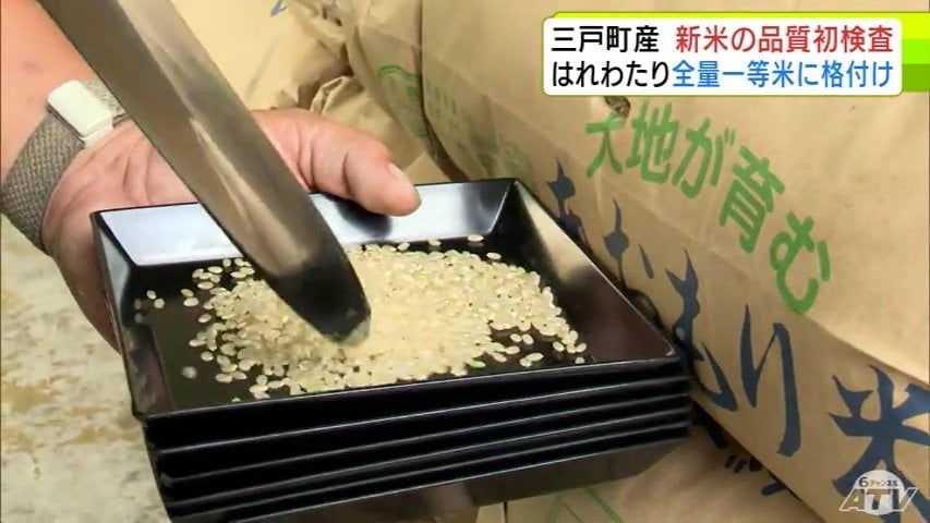 新米　はれわたり　２３kg　青森県産　玄米　１等米　特A 新米 はれわたり 23kg 青森県産 玄米 1等米 特A