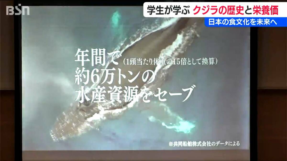 サムネイル_日本の食文化「クジラ」を未来へ 学生が学ぶクジラの歴史と栄養価