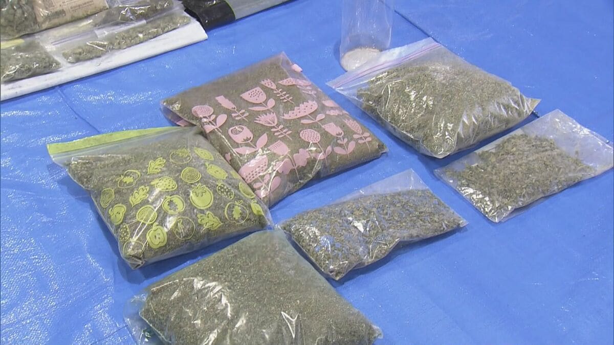 県内で“過去最大規模”の乾燥大麻を押収 夫婦を逮捕 営利目的で所持していた疑い 大量に売りさばくため栽培か 三重･志摩市