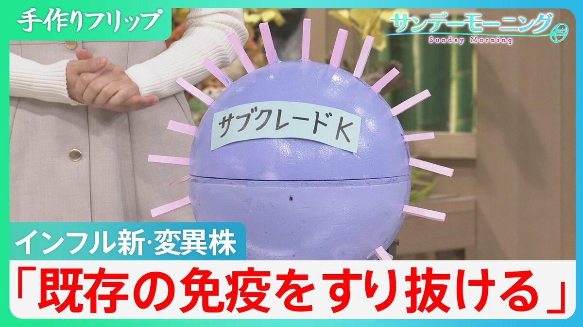「既存の免疫をすり抜ける」感染拡大のインフルエンザ 背景に新･変異株「サブクレードK」　過去10年間で最大規模の流行予測も【サンデーモーニング】