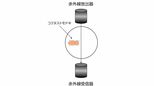 「太く短い生涯か、細く長い生涯か」運動活性が昆虫の「生き方」を決める仕組みを解明【東京大学・岡山大学など】|TBS NEWS DIG