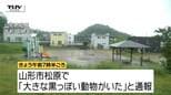 朝からクマの目撃相次ぐ 公園や民家の近く 連日、人の生活エリアでの出没 県が警戒を呼びかけ(山形)|TBS NEWS DIG