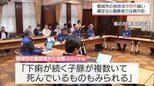 都城市の養豚場で家畜伝染病「豚熱」の疑い 国の確定検査の結果は10日午前に判明の見通し|TBS NEWS DIG