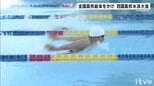 インターハイ目指しスイマーが熱戦  四国高校選手権水泳競技大会|TBS NEWS DIG