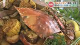 目指すは「天草ガストロノミー」海外気分で天草の食を堪能 ところでガストロノミーって何? | 熊本のニュース|RKK NEWS|RKK熊本放送