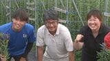 岩手の農業の魅力発信へ　サッカー・いわてグルージャ盛岡の選手がリンドウの収穫を体験　岩手・雫石町　|　IBC NEWS | IBC岩手放送