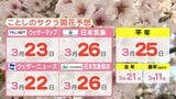 この春の桜開花はやや遅め？ 民間気象会社各社の最新予想   イマの標本木つぼみの状態チェック　|　RCC NEWS | 広島ニュース | RCC中国放送