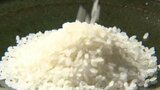 「チャーハンにしたら美味しいのかな」アメリカ・カリフォルニア産のカルローズ米「かろやか」販売開始 愛媛 | 愛媛のニュース - Nスタえひめ|あいテレビは6チャンネル