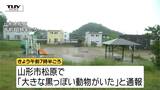 朝からクマの目撃相次ぐ　公園や民家の近く　連日、人の生活エリアでの出没　県が警戒を呼びかけ（山形）　|　山形のニュース│TUYテレビユー山形