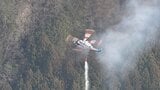【速報】埼玉・秩父市浦山で山林火災　焼失面積は約40ヘクタール　県が自衛隊に災害派遣要請|TBS NEWS DIG