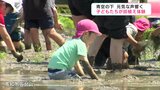 「お米が足りていないのでたくさん育って」青空の下 元気な声響く 子どもたちが田植え体験 | 高知のニュース・天気|KUTV NEWS | KUTVテレビ高知