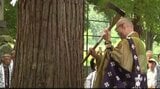 【善光寺御開帳】に向けて…樹齢250年の杉の木に「斧入れ式」本堂の前に立てられる回向柱に…御開帳は2027年4月4日から77日間の日程で開催へ | SBC NEWS | 長野のニュース | SBC信越放送