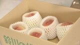 「どうしたらいいのか正直わからない」ナフサ不足で地元に愛される味がピンチ モモは「緩衝材」が入手難...豆腐店ではパックが値上がり=静岡・富士市 | 静岡のニュース | SBSNEWS | 静岡放送