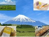 離れているのに共通点いっぱい、静岡県と鹿児島県 | 静岡のニュース | SBSNEWS | 静岡放送