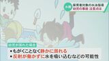 幼児は“静かに溺れる”ことも…溺れたときの大人と幼児の特徴に違いは?水泳教室の先生がポイントを指摘　|　石川県のニュース｜MRO北陸放送