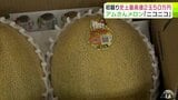 史上最高値!2玉50万円に! 弘果 弘前中央青果で「アムさんメロン」の初競り 関係者も驚き 栽培した農家は「この通りニコニコしている」「非常に感謝の一言」 青森県|TBS NEWS DIG