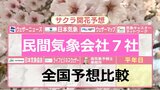 桜開花予想はどこが当たる！？７つの民間気象会社予想比較　全国 “最も早い”予想は3月18日　 東京４社　高知・福岡が続く　来週には続々開花の便りか　サクラ前線北上早く札幌で４月中の開花も　　|TBS NEWS DIG