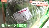 「大量買いしちゃった」キャベツは半額以下、レタスは3分の1に…葉物野菜がお買い得 カット野菜も値下げへ “野菜高騰”で値上げした飲食店は値下げする?|TBS NEWS DIG
