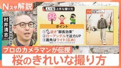 桜をスマホで上手に撮りたい！「曇ると色が…」「良い角度は？」プロが伝授 悩みを解決【Nスタ解説】| TBS CROSS DIG with Bloomberg