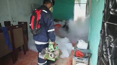 「国民が協力しなければ、克服することは難しいだろう」　ペルー　デング熱流行で非常事態宣言| TBS CROSS DIG with Bloomberg