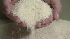 政府備蓄米「機動的に追加を行う」さらなる放出検討　江藤農水大臣| TBS CROSS DIG with Bloomberg