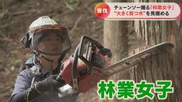 24歳の“林業女子” 「災害の起きない山を作りたい」重機にチェーンソーにドローンも駆使して働く姿に密着|TBS NEWS DIG