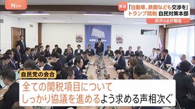 「自動車、鉄鋼なども交渉を」 トランプ関税めぐり自民党が対策本部会合 全ての項目について協議を進めていくよう求める声相次ぐ|TBS NEWS DIG