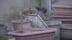 入院中の母親の点滴に“水に溶かした粉末サプリメント”を注入 血液に細菌入って母親死亡 62歳の息子を傷害致死の疑いで逮捕|TBS NEWS DIG