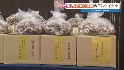 【大特価｜送料込】★現品のみ★田原市_在庫1点 品評会で9連覇！ 我が子のように育てるシイタケ 苦手だった妻も虜に